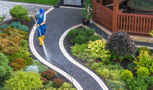 Local Pressure Washing Services in Cave Spring, VA