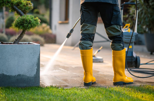 Professional Pressure Washing in Cave Spring, VA